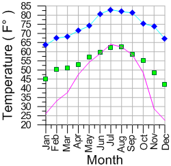 2D Line/Scatter Plot